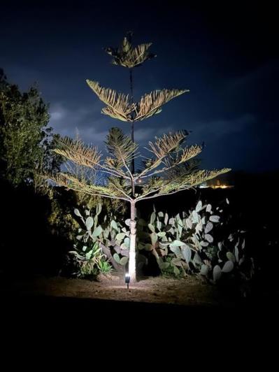 Image No.5-2 Bed House/Villa for sale