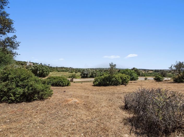 Image No.2-Plot for sale