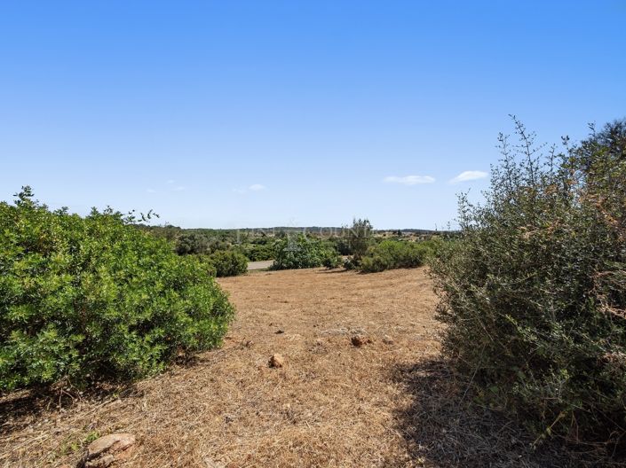 Image No.7-Plot for sale