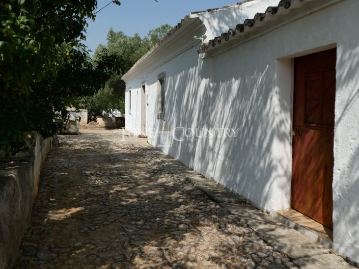 Image No.6-3 Bed Villa for sale