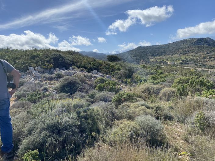 Image No.12-Land for sale