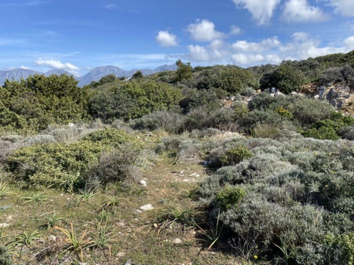 Image No.17-Land for sale