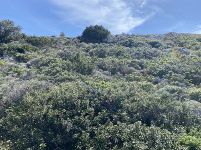 Image No.18-Land for sale