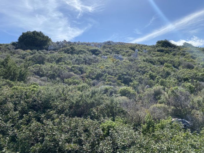 Image No.19-Land for sale