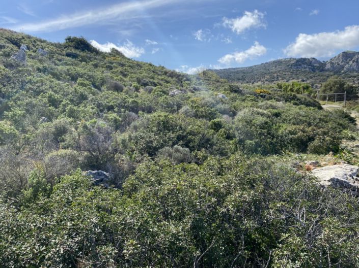 Image No.20-Land for sale