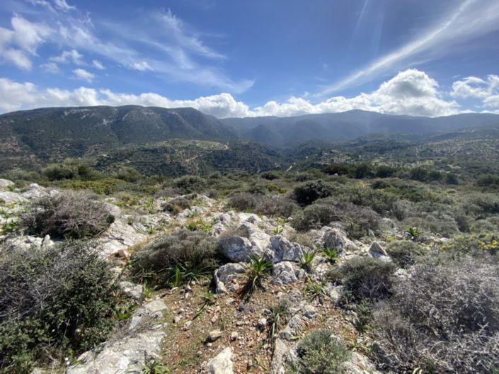 Image No.25-Land for sale