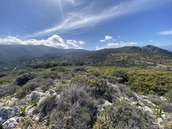 Image No.26-Land for sale