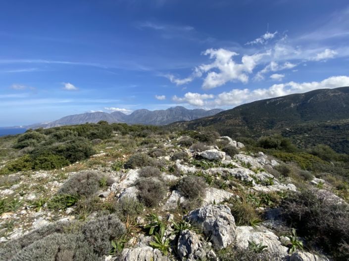 Image No.27-Land for sale