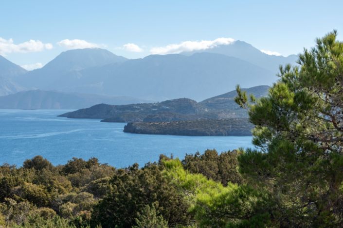 Image No.9-3 Bed Villa for sale