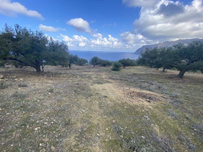 Image No.2-Land for sale