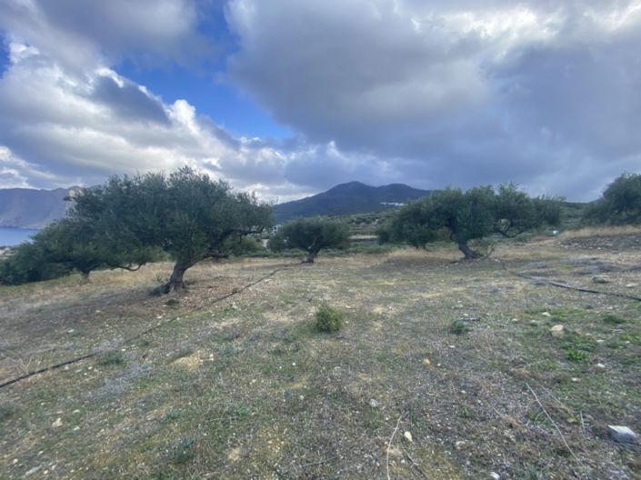 Image No.4-Land for sale