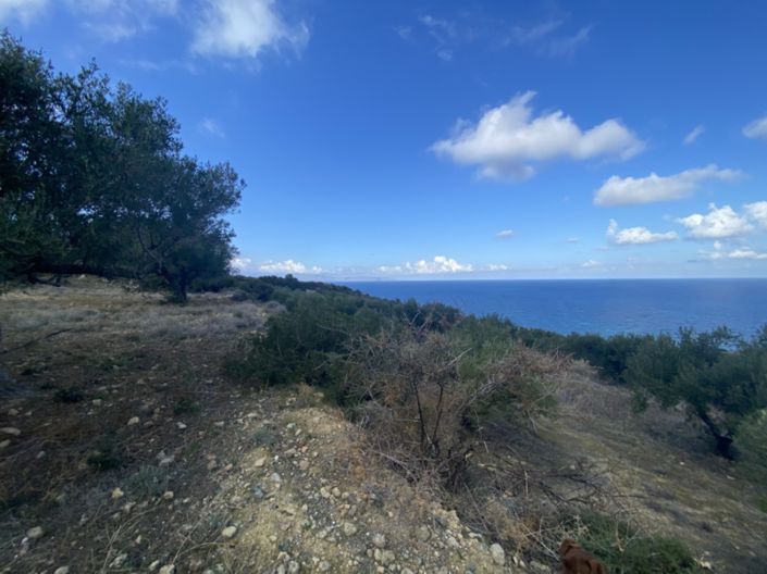 Image No.7-Land for sale