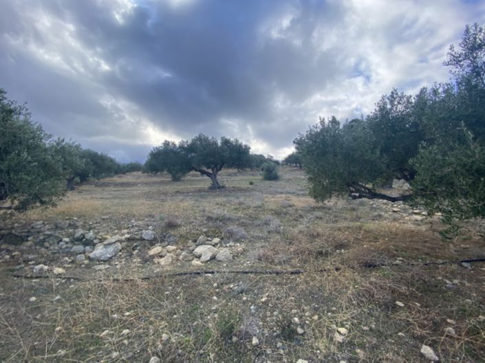 Image No.8-Land for sale