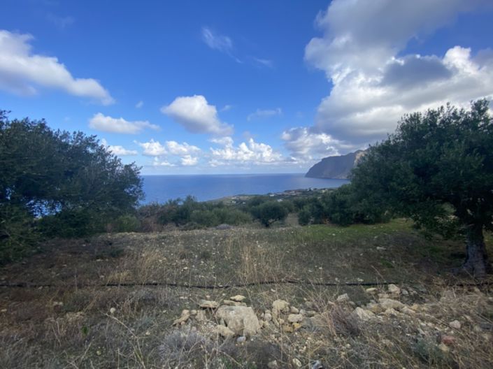 Image No.9-Land for sale