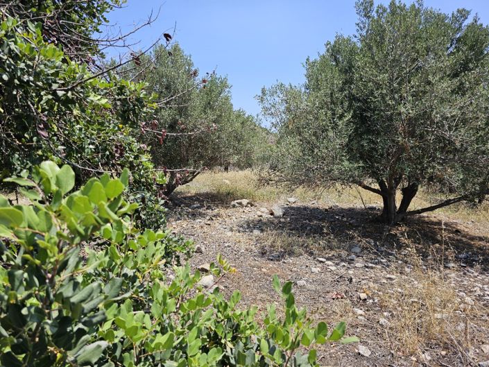 Image No.10-Land for sale