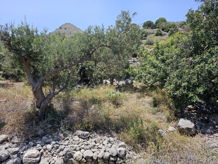 Image No.11-Land for sale