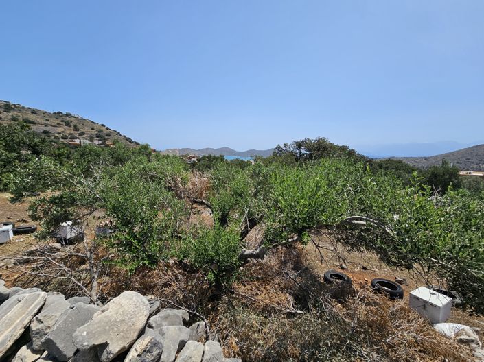 Image No.2-Land for sale