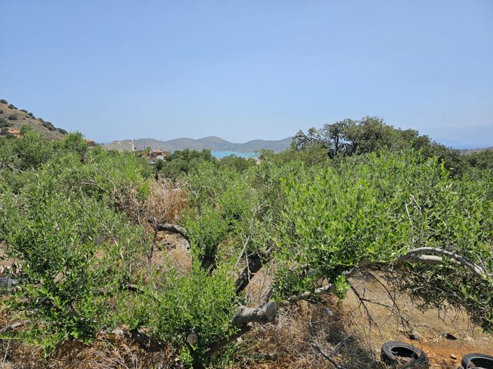 Image No.3-Land for sale