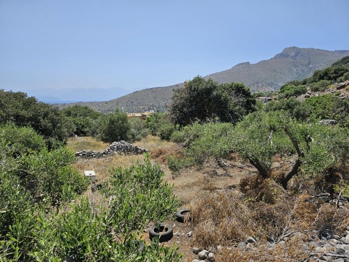 Image No.5-Land for sale