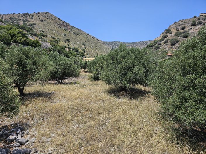 Image No.7-Land for sale