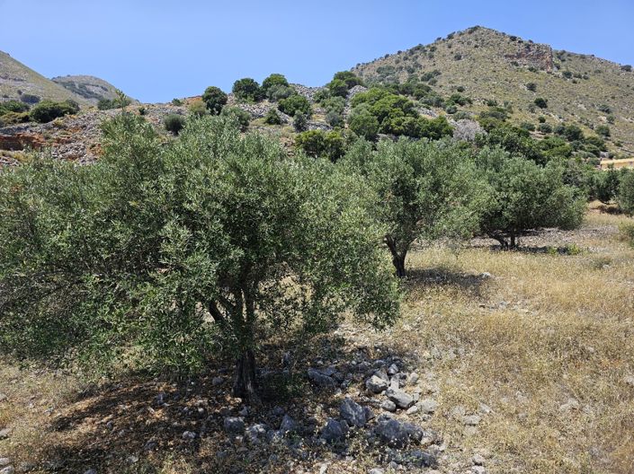 Image No.8-Land for sale