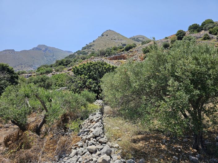 Image No.9-Land for sale