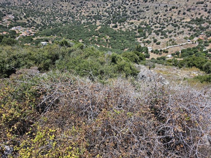 Image No.5-Land for sale