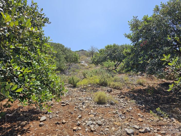 Image No.7-Land for sale