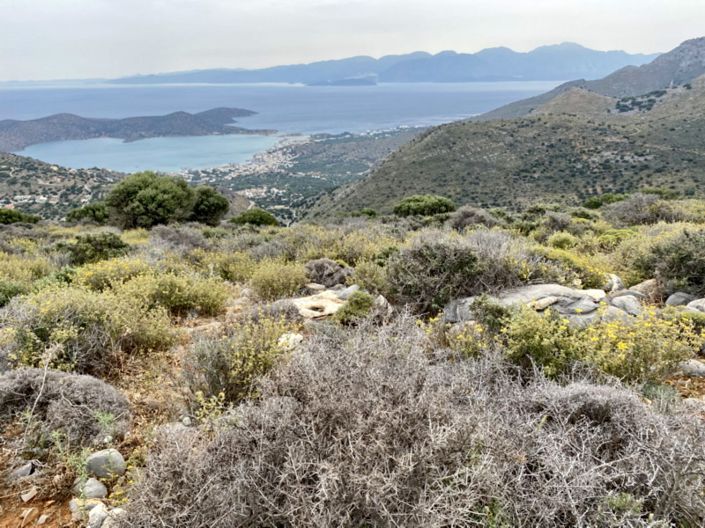 Image No.1-Land for sale