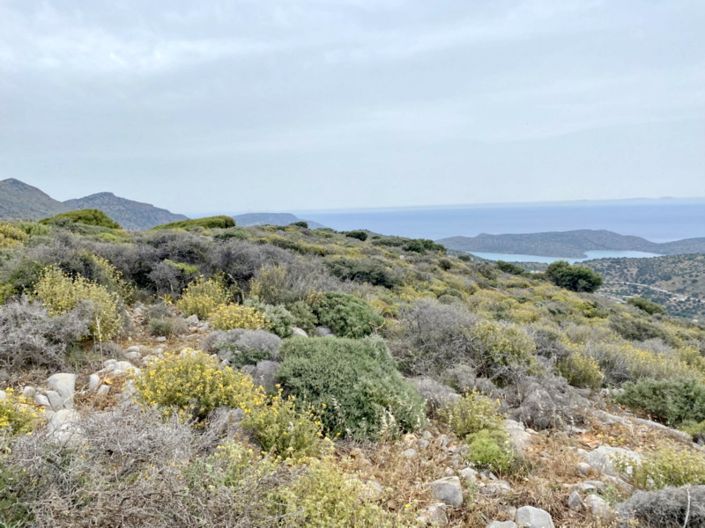 Image No.11-Land for sale