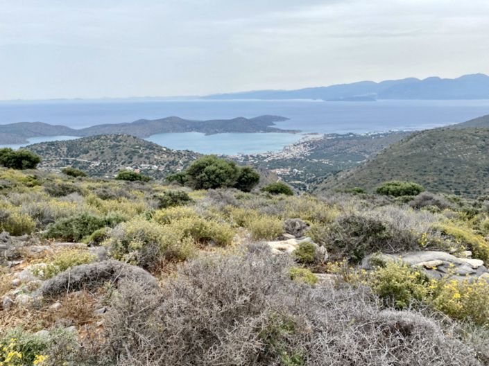 Image No.5-Land for sale