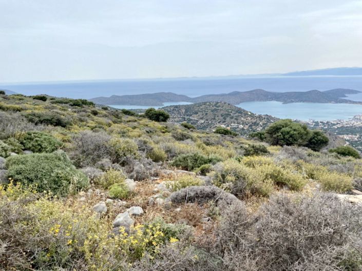 Image No.7-Land for sale