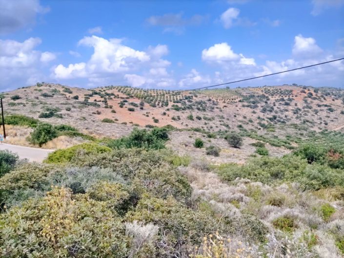 Image No.10-Land for sale