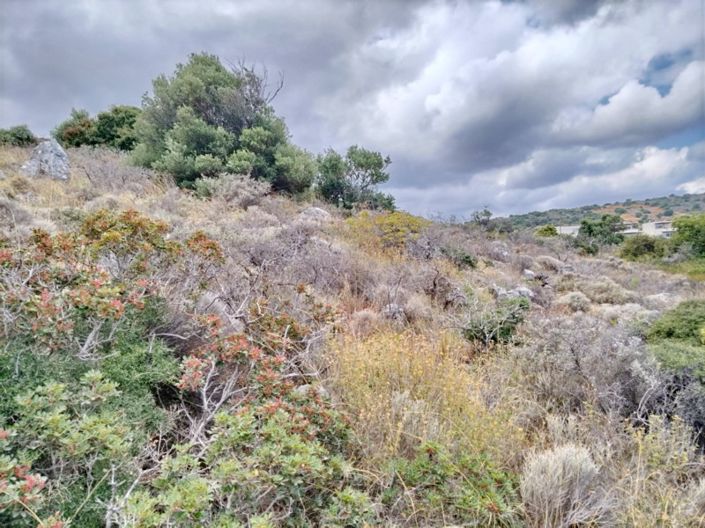 Image No.11-Land for sale