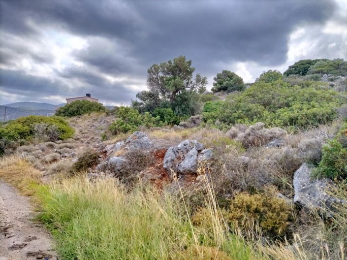 Image No.2-Land for sale