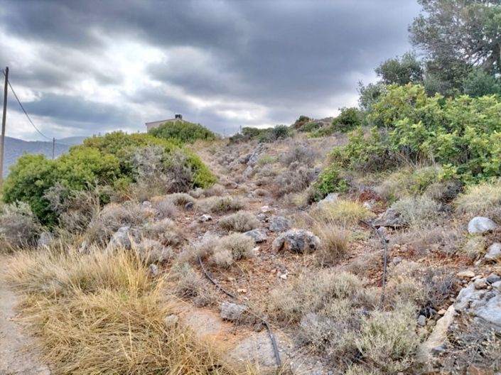 Image No.3-Land for sale