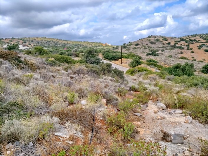 Image No.5-Land for sale