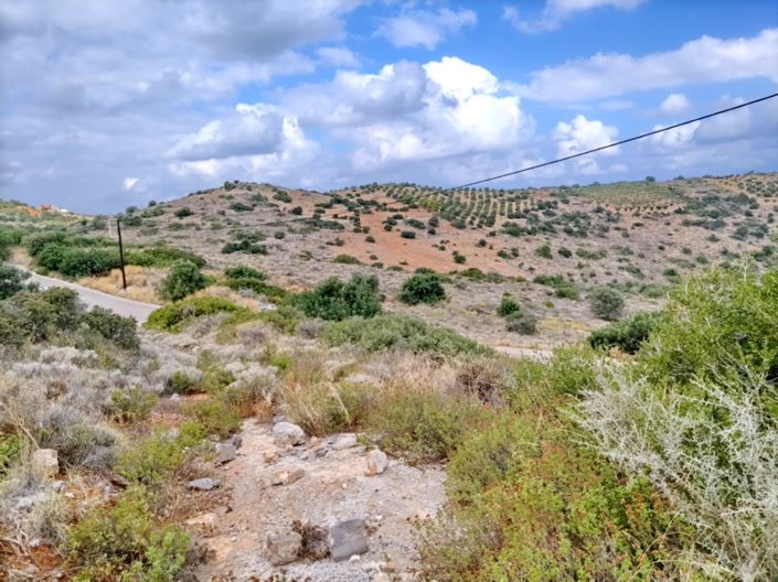 Image No.6-Land for sale