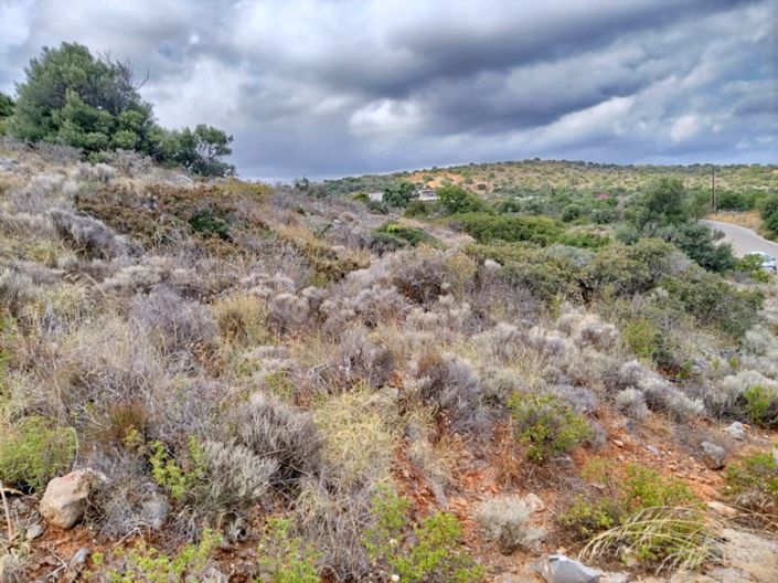 Image No.7-Land for sale