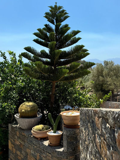 Image No.2-6 Bed Villa for sale