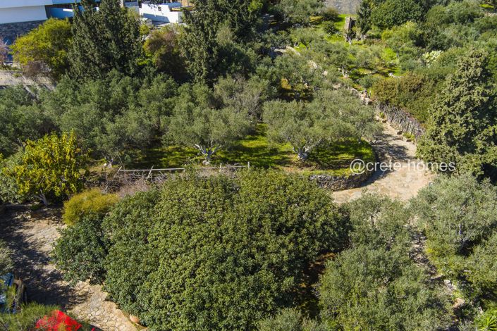 Image No.54-10 Bed Villa for sale