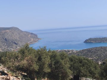 img20250314112637-copy