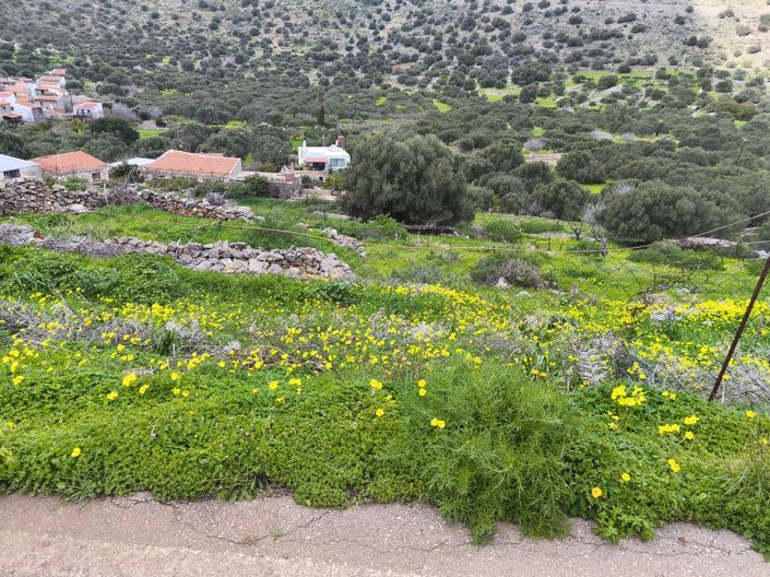 Image No.1-Land for sale