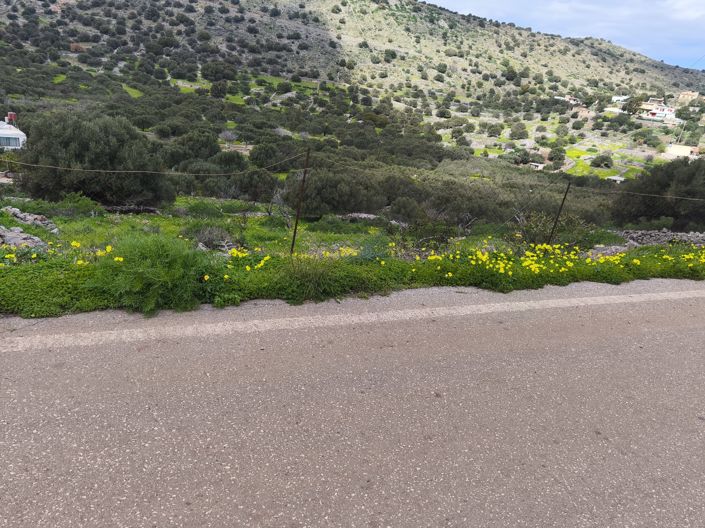 Image No.3-Land for sale