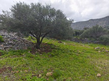 1 - Lasithi, Land