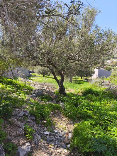 Image No.10-Land for sale