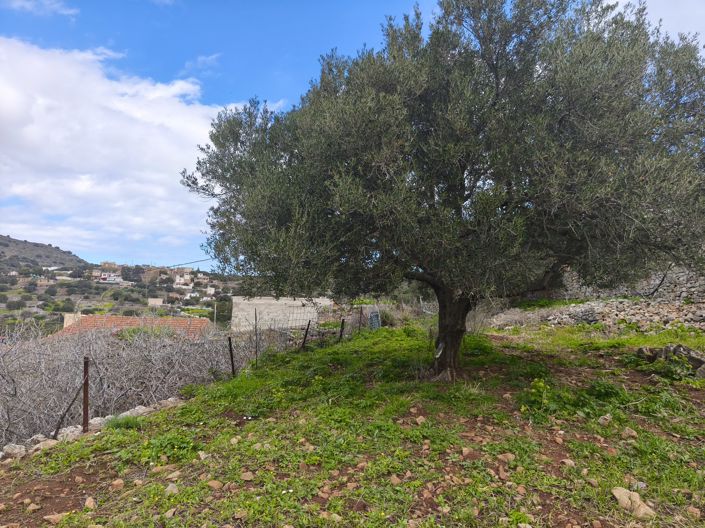 Image No.7-Land for sale