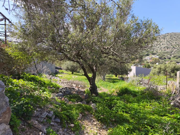 Image No.8-Land for sale