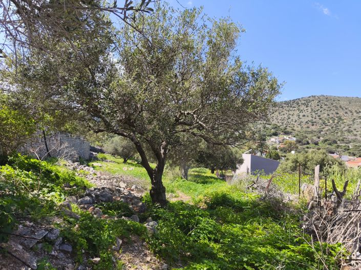 Image No.9-Land for sale