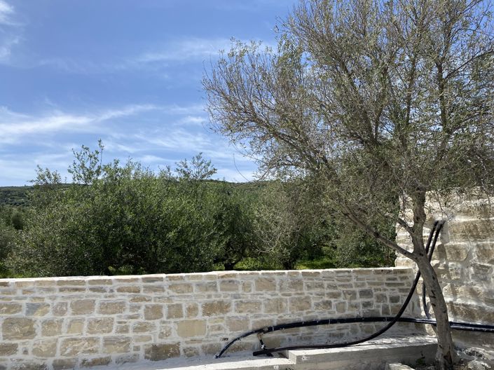 Image No.41-3 Bed House for sale